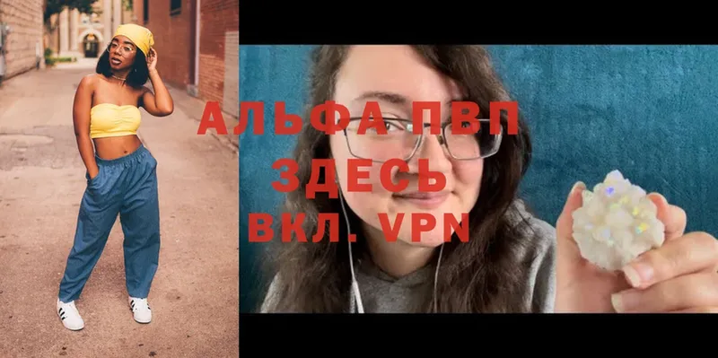 A PVP VHQ Кудрово